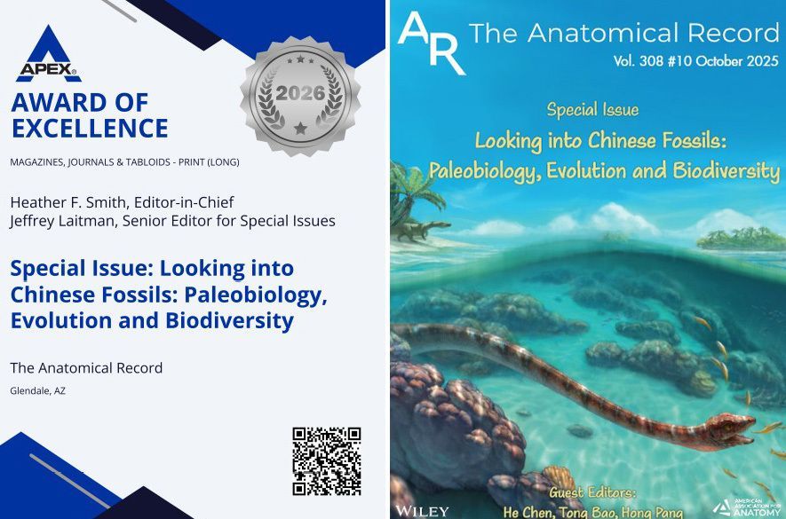 AnatRecord's tweet photo. AR has received an APEX Award for Publication Excellence for the special issue "Looking into Chinese Fossils: Paleobiology, Evolution, and Biodiversity", which showcases exceptional fossil discoveries from China—from ancient dinosaurs to insects
https://t.co/koojWg3GSj https://t.co/nn3QfZmHf3