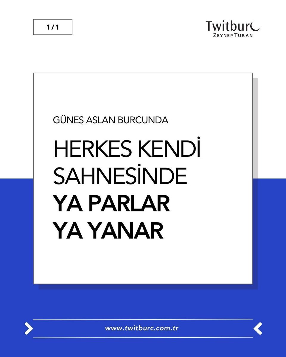 Zeynep Turan tweet media