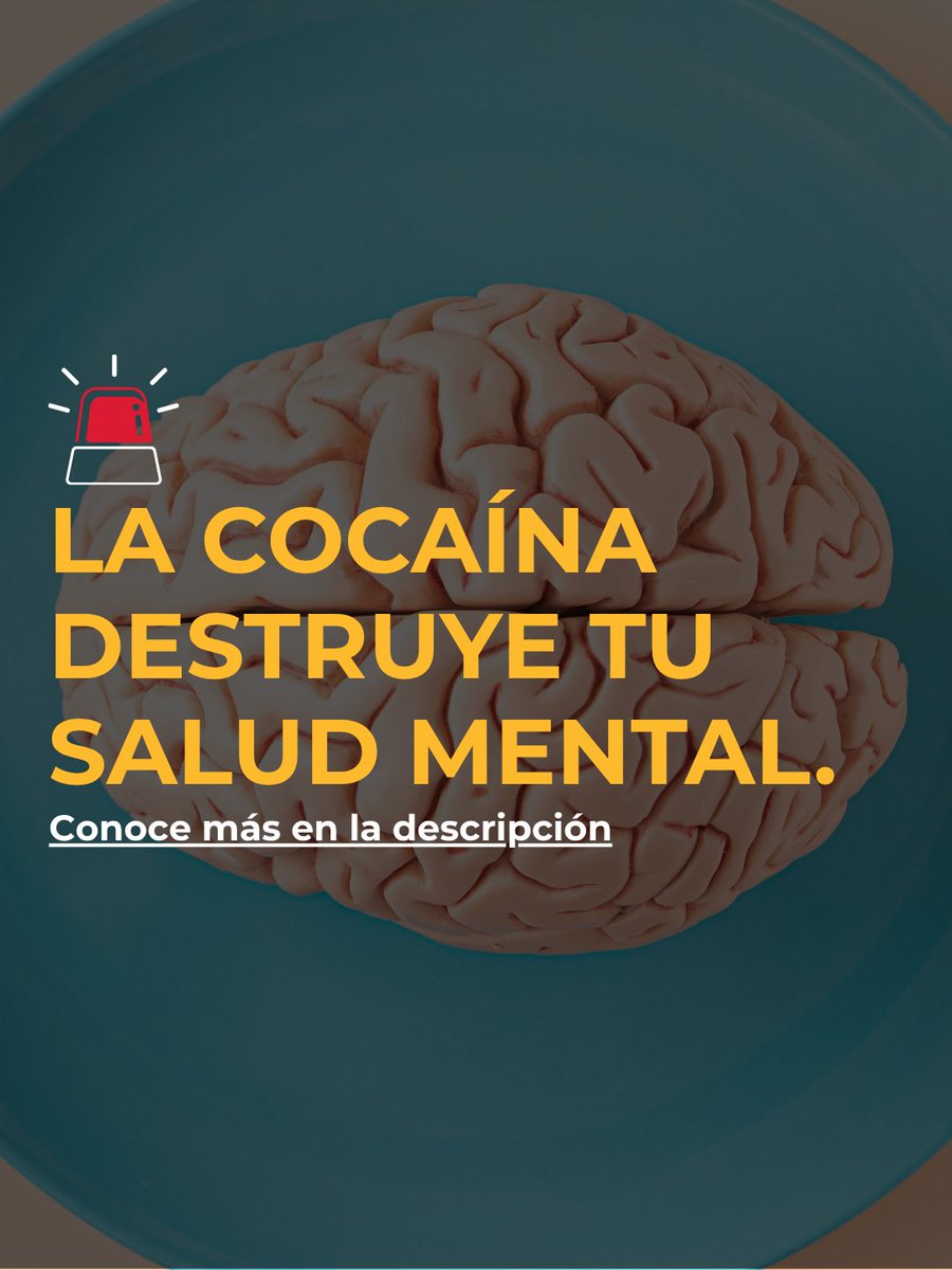 PNSDgob's tweet photo. 🧠 El consumo continuado de cocaína altera el funcionamiento cerebral, pudiendo desencadenar cuadros psicóticos, depresión y graves secuelas neuropsiquiátricas. Conocer sus efectos y riesgos es fundamental para tomar conciencia.
https://t.co/0qfYpJ4sIA

#Prevención https://t.co/pnmM3wpszU