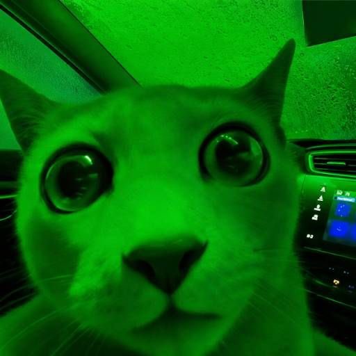 Challenge47 tweet picture