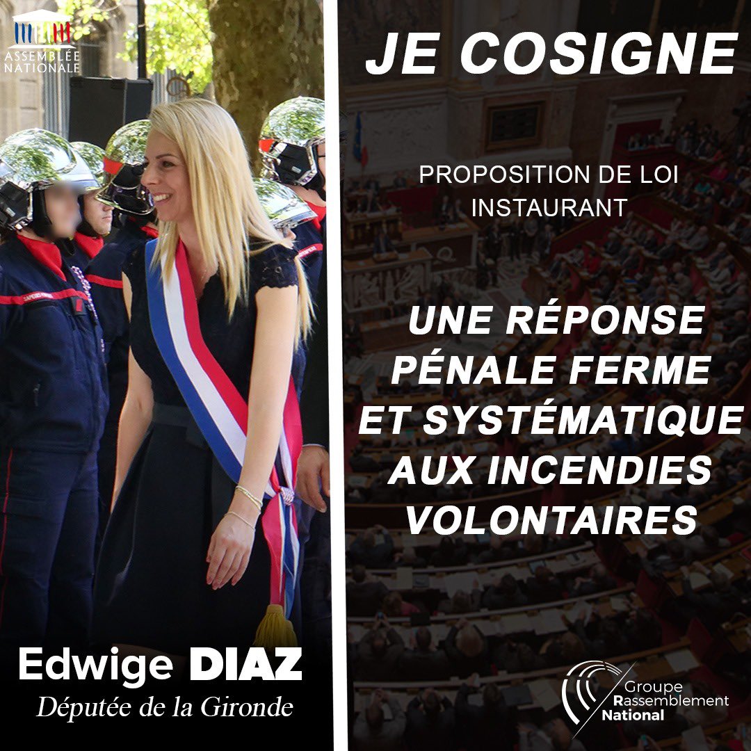 diaz_edwige's tweet photo. 🔥 La France est ravagée par les flammes. Les auteurs d'incendies volontaires doivent être sévèrement punis !

🏛️ Avec Emmanuel Taché et le @groupeRN_off, nous déposons une proposition de loi pour renforcer les sanctions contre les incendiaires.

➡️ https://t.co/Pa2kZHuNww https://t.co/M4KnUiiZ1m
