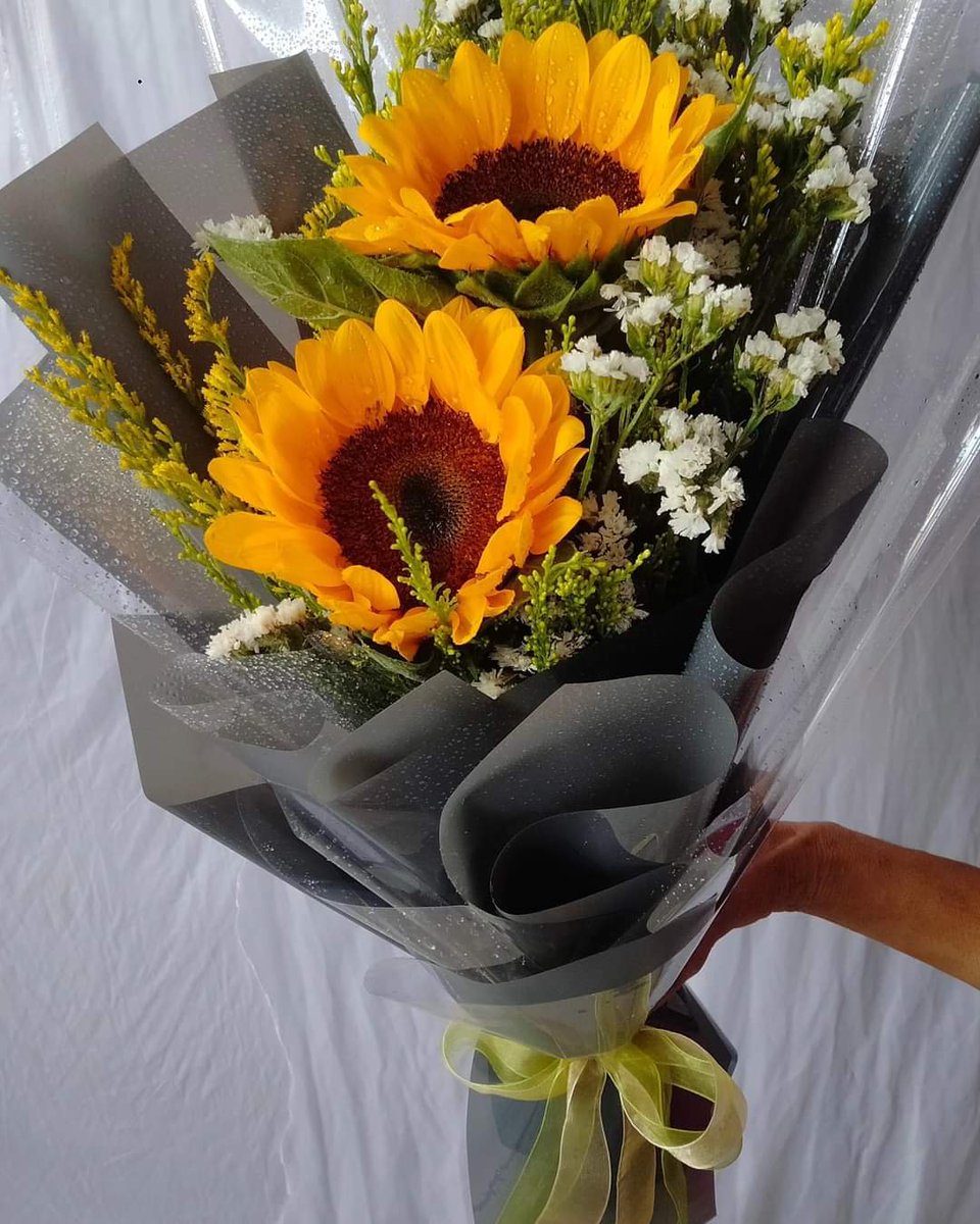 ARandomScene's tweet photo. Tag a sunflower lover 🌻💛 https://t.co/NT3epvbB9R