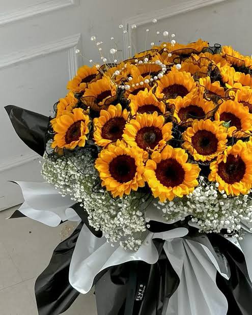 ARandomScene's tweet photo. Tag a sunflower lover 🌻💛 https://t.co/NT3epvbB9R