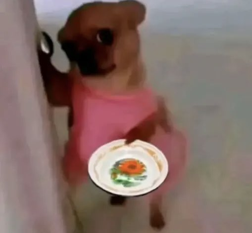 sabrinacatdiary's tweet photo. @flamenrsgo vai ter que vir aqui provar e tweetar nossa sabrinacat fez o melhor e maior carbonara de todos os tempos https://t.co/03dgcIys5q