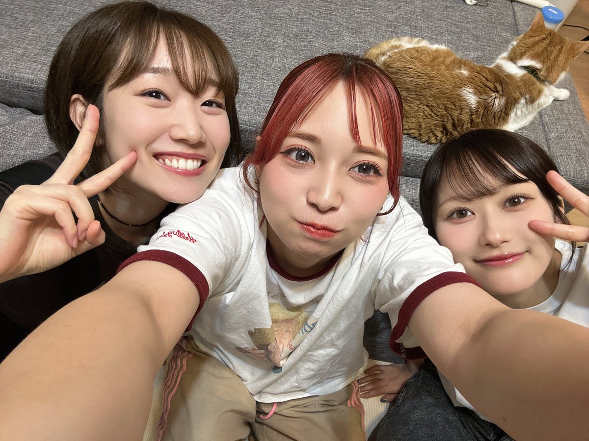 AzusaTadokoro's tweet photo. まもなく！！🙌
3チャンネル連続配信スタート！

#ぴょんチャンネル
https://t.co/HbXFRbgctI

#南早紀チャンネル
https://t.co/zM15sAyaoX

#ころあずちゃんねる
https://t.co/5sMu6sAZEe

(あずさ) https://t.co/t3p8ZCAOPm