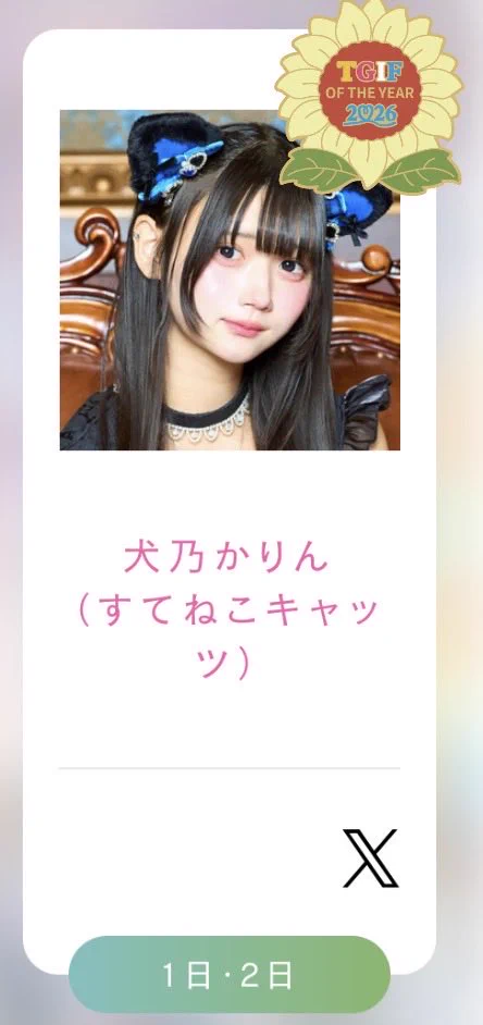 すてねこキャッツ on X: 