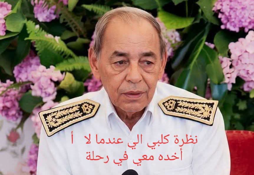 souigui's tweet photo. @hocine_blida90 الفتنة شخصيا https://t.co/EuWEVshMKM
