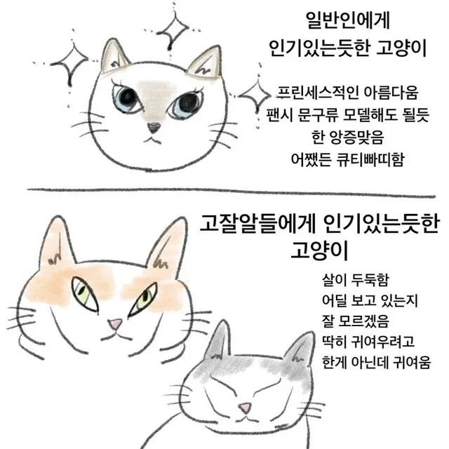 sin1697857's tweet photo. 고잘알들에게 인기 있는듯한 고양이 https://t.co/7JjKCGYKXL