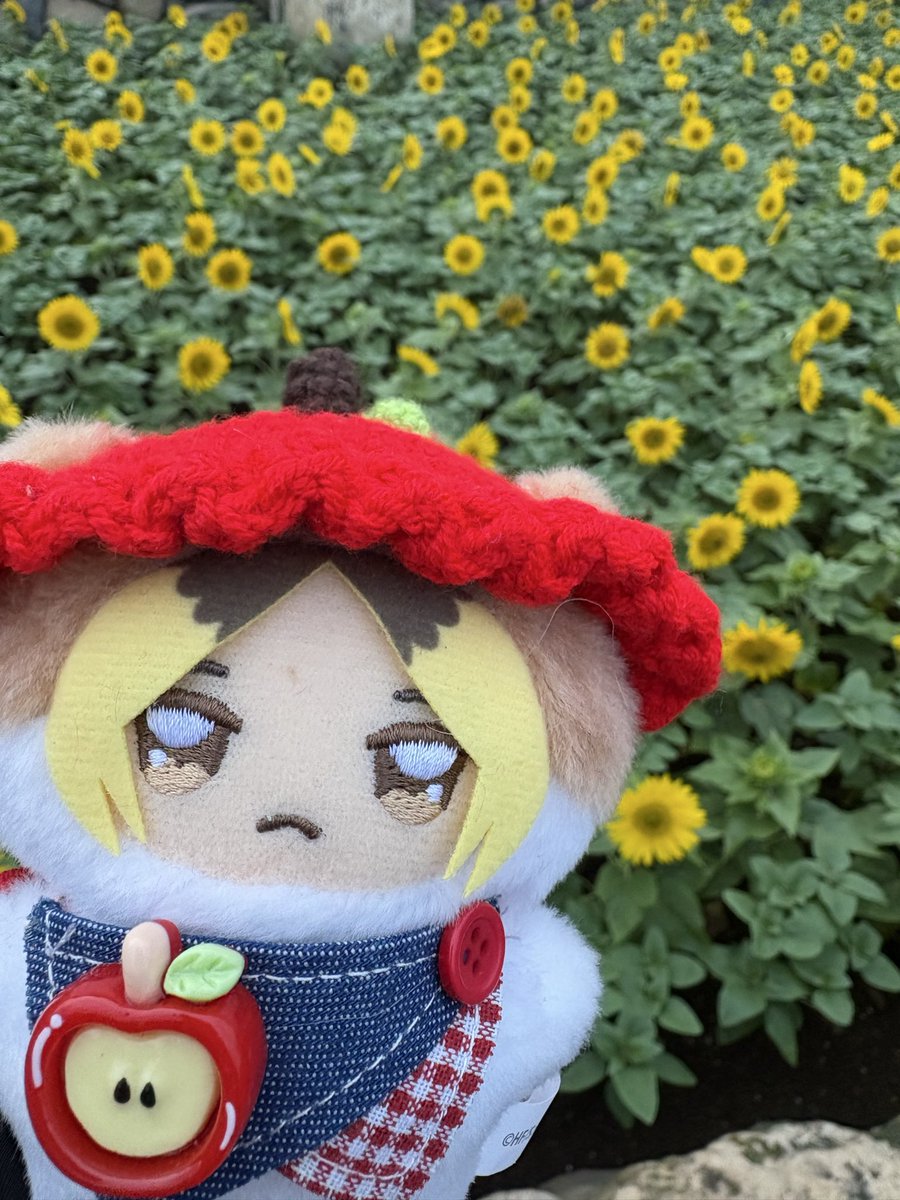 4mo0t's tweet photo. 楽しかったね、ちみｹﾝﾏくん🥰 https://t.co/4hh2tUtO32