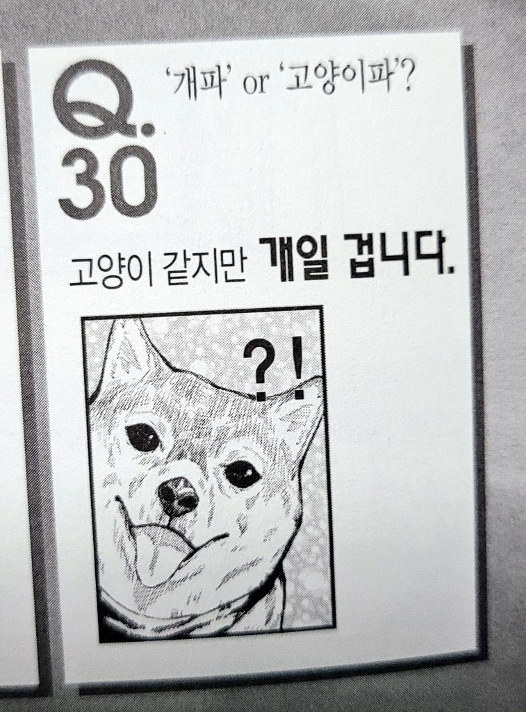 kwck28's tweet photo. 근데 님들아 진짜 여우게토 하셔야됨
사이토씨를 보면서 게토스구루는 여우처럼 웃었고 여우같은 모습에 고죠사토루가 홀려서 옥문강에 봉인됐고 고죠사토루는 고양이 같지만 사실 개를 좋아하고 심지어 여우는 개과임 https://t.co/ntdonbAMog