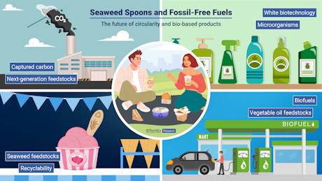 IDTechEx's tweet photo. Seaweed Spoons and Fossil-Free Fuels with IDTechEx: A world where plastic products are biodegradable and biofuels are increasingly available is one that would see far less harmful emissions being released into the atmosphere. This article by IDTechEx… https://t.co/786wKp7MGt https://t.co/LZsasOi5WZ