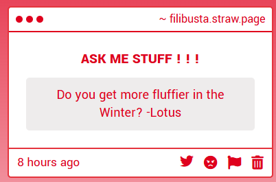 filibusta_'s tweet photo. ★ OF COURSE I DO ! ! ! ! HERE'S A PICTURE OF ME DURING WINTER ! ! ! I WAS SO MUCH FLUFFIER IN THAT PICTURE THAN I AM RIGHT NOW ! ★ https://t.co/zf8DBwNdCP