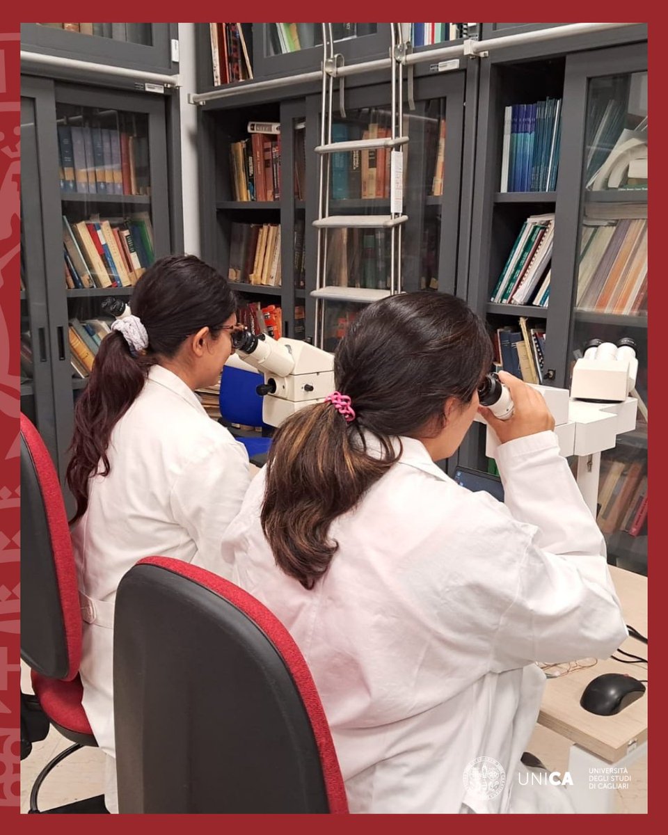 univca's tweet photo. 🎓 Innovazione all’@unica_it: al via il nuovo “Cadaveric Anatomy Course”! 🩺

Gli studenti dei corsi di Medicina e Chirurgia (in italiano e inglese) potranno svolgere attività pratiche di dissezione anatomica, unendo teoria e clinica per la formazione dei futuri medici.

#UniCa https://t.co/hNu5o2ixaF