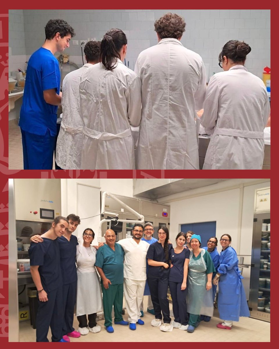 univca's tweet photo. 🎓 Innovazione all’@unica_it: al via il nuovo “Cadaveric Anatomy Course”! 🩺

Gli studenti dei corsi di Medicina e Chirurgia (in italiano e inglese) potranno svolgere attività pratiche di dissezione anatomica, unendo teoria e clinica per la formazione dei futuri medici.

#UniCa https://t.co/hNu5o2ixaF