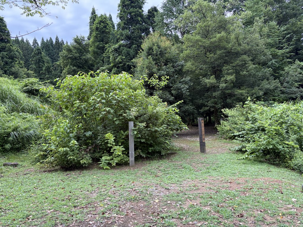 kami1_110's tweet photo. いってきました
おおかみこどもの森🌳
なんと3メートルあまりの森が
そこにありました❗️
すくすくです

クマよりもブヨ🪰が怖い今日この頃
虫除け片手にいきましたよー
#上市町
#おおかみこどもの森
#おおかみこどもの雨と雪 https://t.co/KeJY9Jk80x