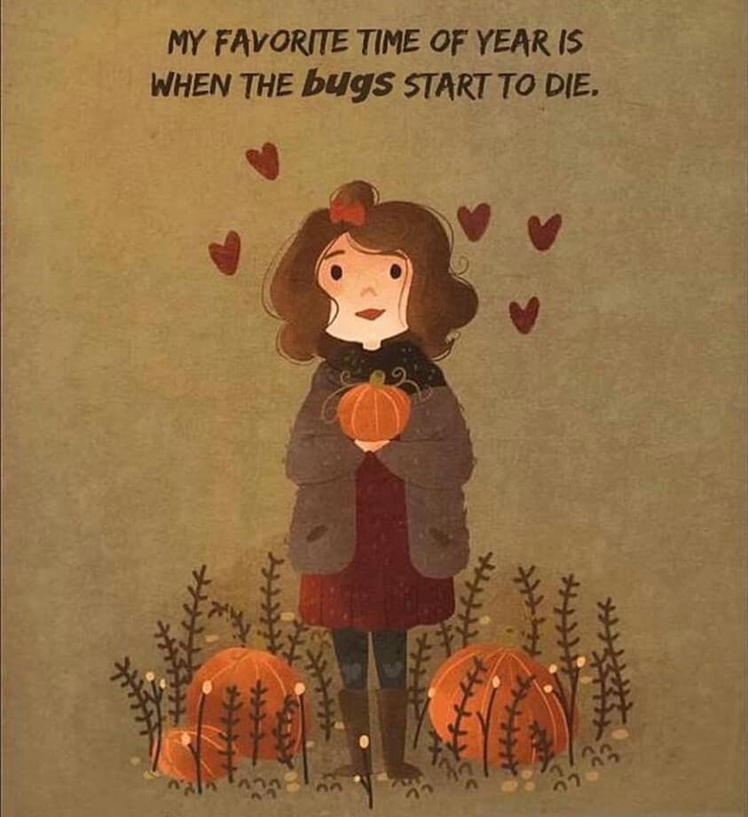 thespookygirll's tweet photo. 🍂👻 https://t.co/2CI4p6h6jw