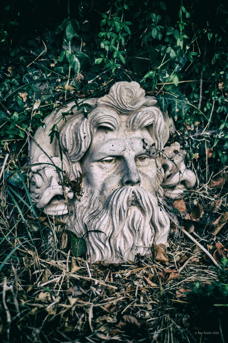 devonfilmyard's tweet photo. Neptune’s Garden — a wild corner of North Devon where a stone face emerges from ivy, brambles and fallen leaves. Part classical ruin, part forgotten film set, it could belong to an ancient temple or a dark mythological world.

https://t.co/Di4iuPNeVW
#FilmLocations #NorthDevon https://t.co/UPyaI7jZ6D