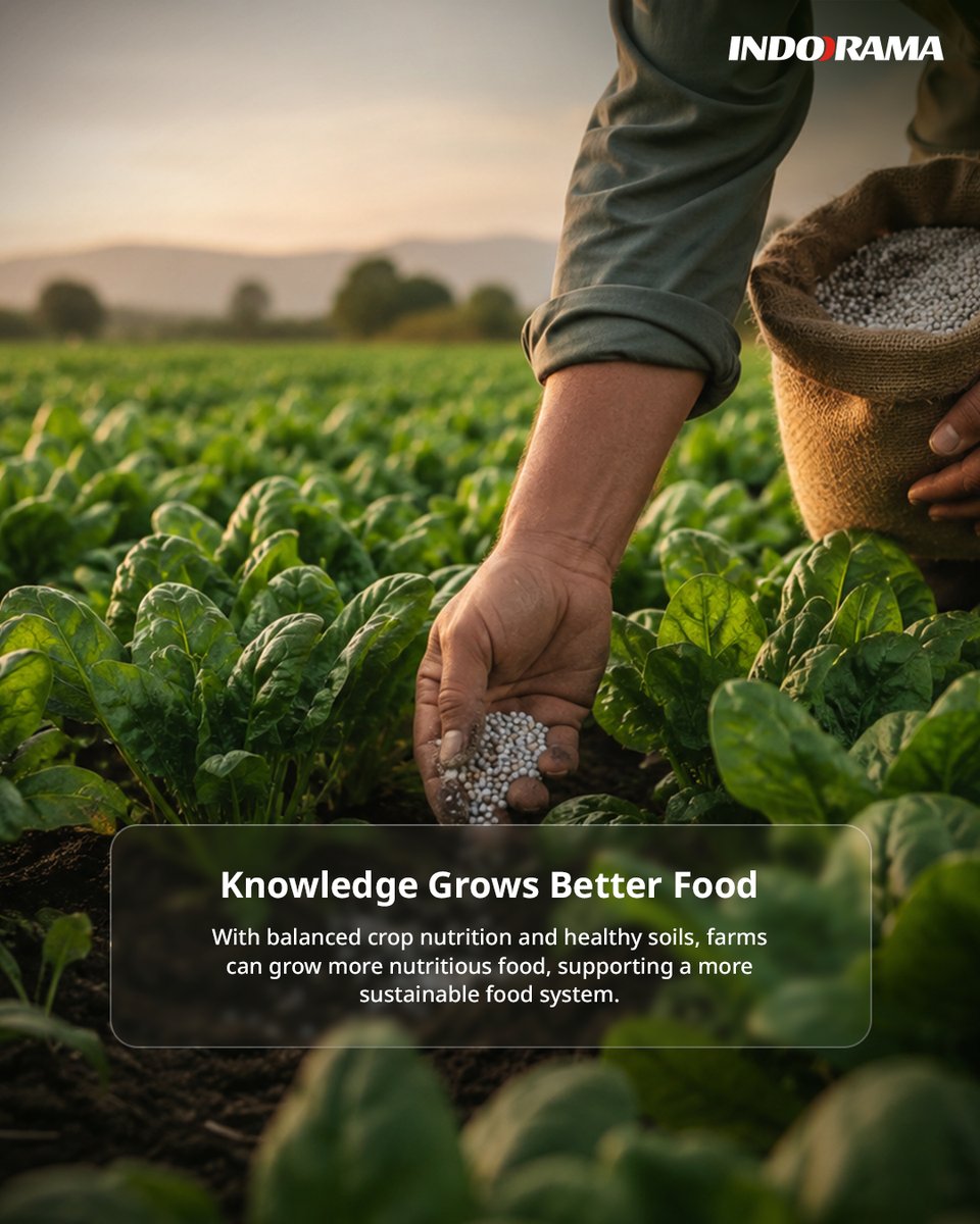 IndoramaCorp's tweet photo. Spinach has long been recognized as one of nature's most nutrient-rich foods. Packed with iron, vitamins, and antioxidants, this leafy green highlights the importance of balanced nutrition in supporting healthy growth and development.

In this edition of our Superfoods Series, we explore the journey of spinach, from healthy soils and crop nutrition to the nutritious food on our plates.

At Indorama Corporation, we believe strong agricultural foundations are essential to growing healthier crops and more resilient food systems.

#Spinach #SuperfoodsSeries #CropNutrition #SustainableAgriculture #HealthySoils #NutritionSecurity #IndoramaCorporation