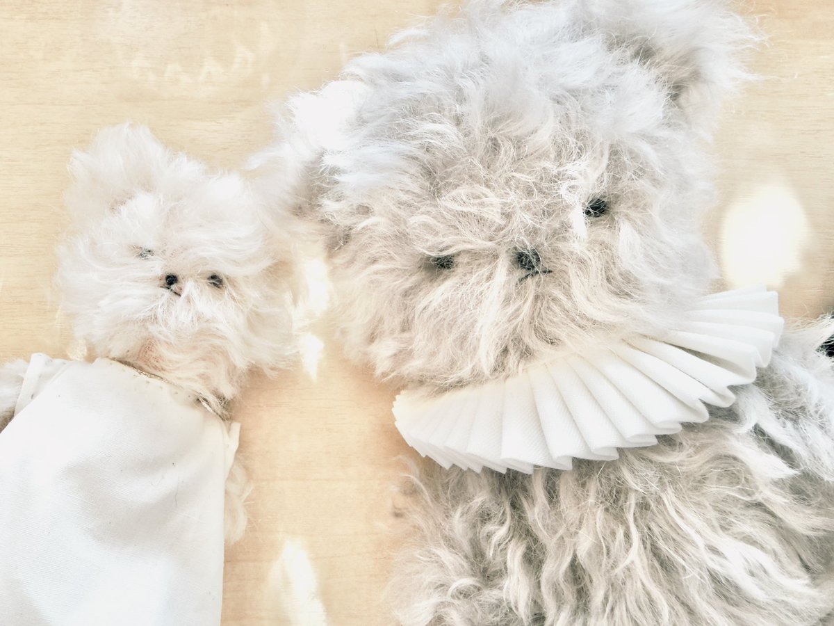 dechinui's tweet photo. 癒しと共に生きている。

#ぬい活 https://t.co/6LRAeIYTdW