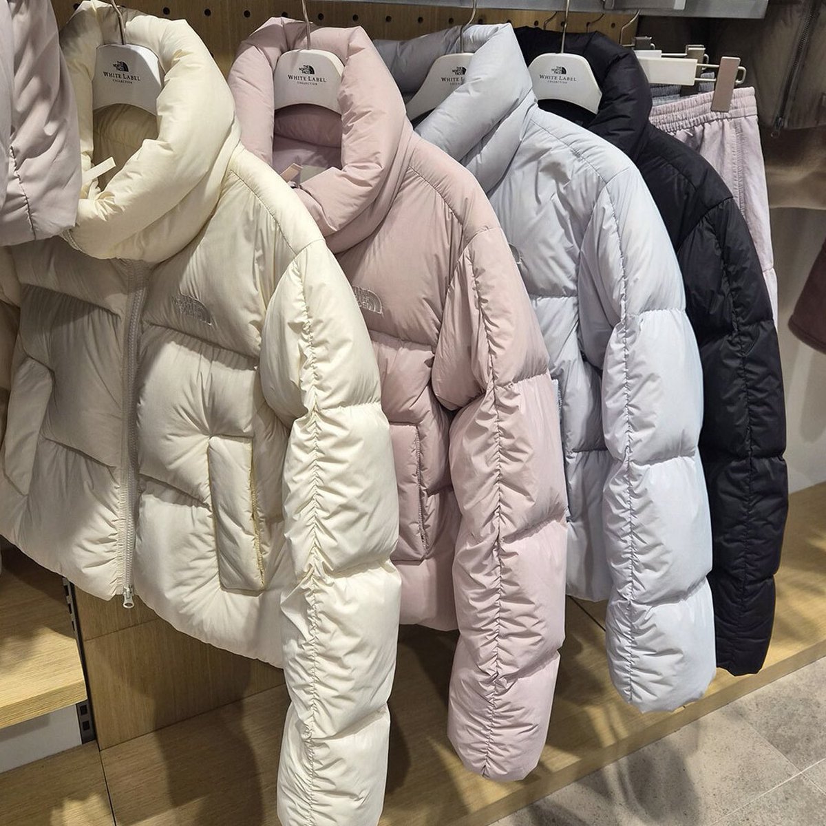 ACB_PreKorea's tweet photo. preorder sale 55%
the north face w's floaty down jacket(rds)

size s,m,l,xl มี4สี
ลดเหลือ  เรือ  4490 แอร์ 4790
มัดจำ 1000 ส่งฟรี ems

บางไซส์มีไม่กี่ตัวน้า ราคาดีมากกกก https://t.co/cLn6vvrDaX