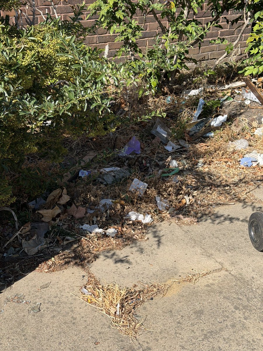 chrisbunnett's tweet photo. Anyone who voted for @TheGreenParty on @LewishamCouncil - this is what you get (in #Deptford). Lots of sanctuary and rubbish everywhere! https://t.co/QKWschbX6V