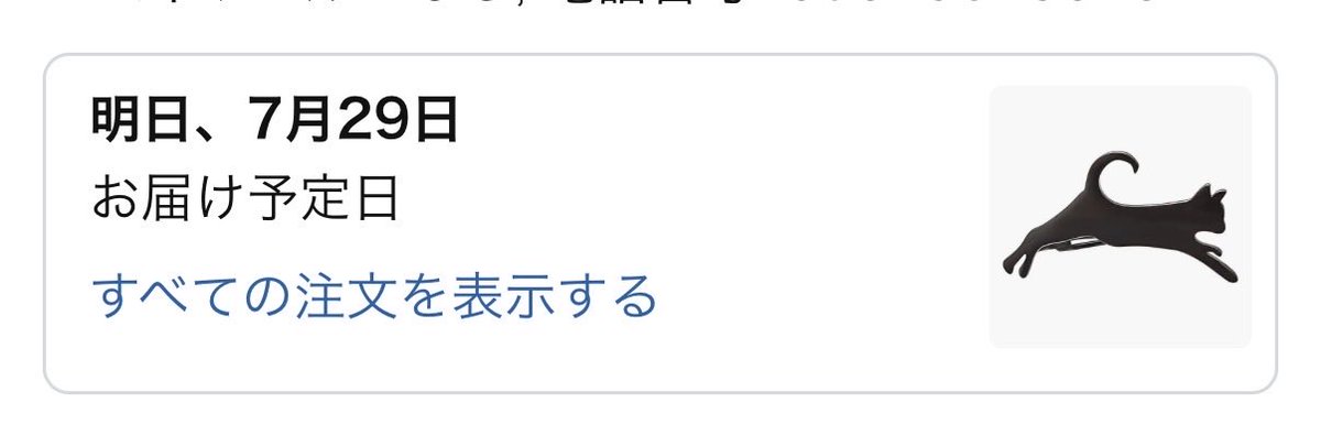 ahiru17's tweet photo. @tubuyaki_jhonny 買った🐈‍⬛ https://t.co/j2xfDSUdqb