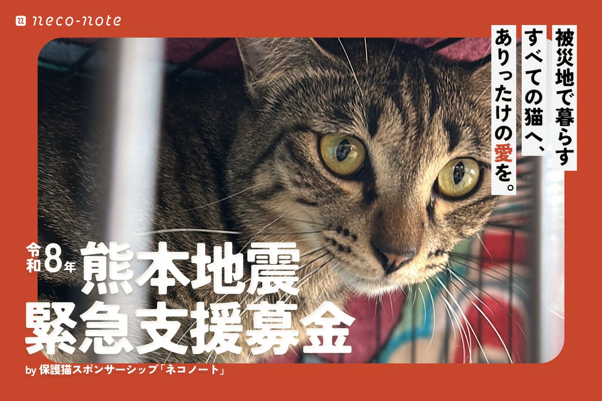 JuM_1024's tweet photo. 【拡散】熊本発生した最大震度7の地震。

被災地には、逃げることも助けを呼ぶこともできない猫たちと、現場を駆け回る保護猫団体がいます。  

いただいた支援は【手数料無料】で、そのまま猫たちへ。今、できることを。みんなで。  

▼令和8年熊本地震緊急支援募金 特設サイト https://t.co/Mdy2MqdwEg 

熊本へ届け。