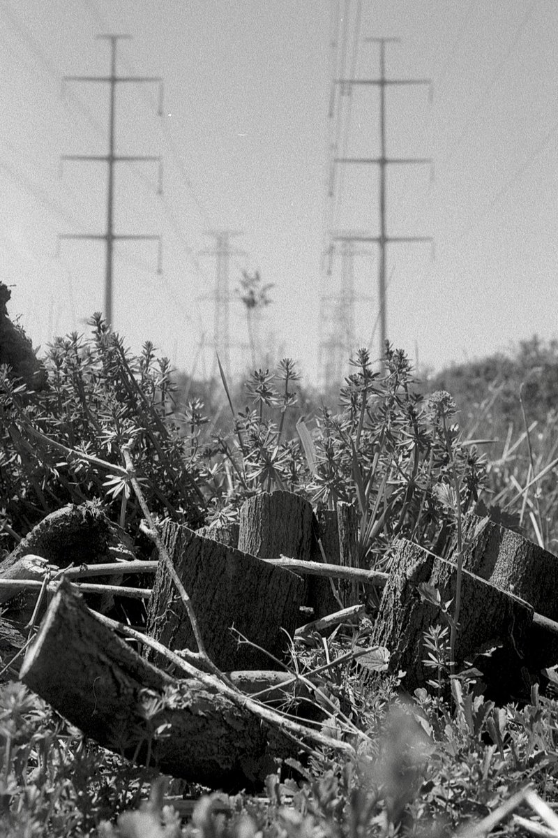 frozen_f8's tweet photo. There was a tree here

📷 Nikon FM3a
🔘 Nikon 50mm f1.8 ais
🎞️ Kentmere 200
⚗️ Blazinal (1+50)

#believeinfilm #filmphotography #lunchbreakphotos #NikonFM3a #Nikon50mmf18 #Kentmere200 https://t.co/LQryiLYUAL