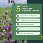 Photo by Saskatchewan Forage (@saskforage)