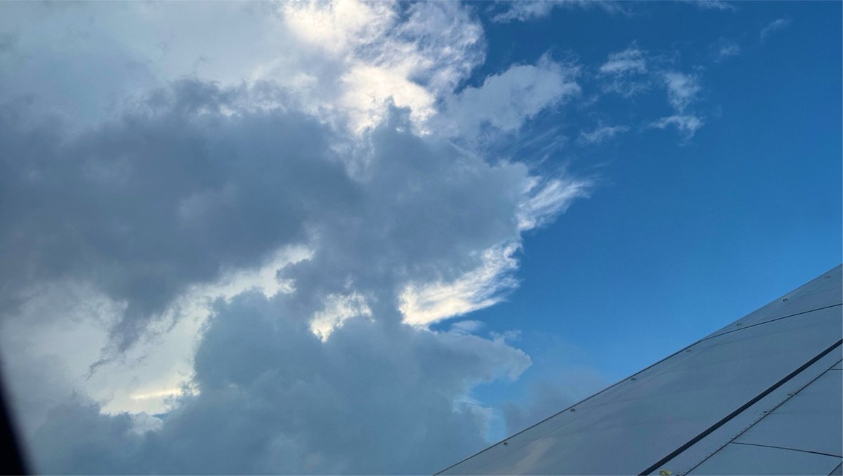 shiroiroki's tweet photo. 𝙃𝙖𝙥𝙥𝙮 𝙗𝙞𝙧𝙩𝙝𝙙𝙖𝙮 𝙩𝙤 𝙢𝙚 ─── https://t.co/qmvbxw2Vex