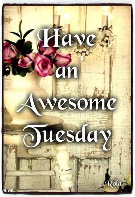 SaraFoxHart's tweet photo. Good morning to you! Make it a great one! https://t.co/I6SGBbmGor