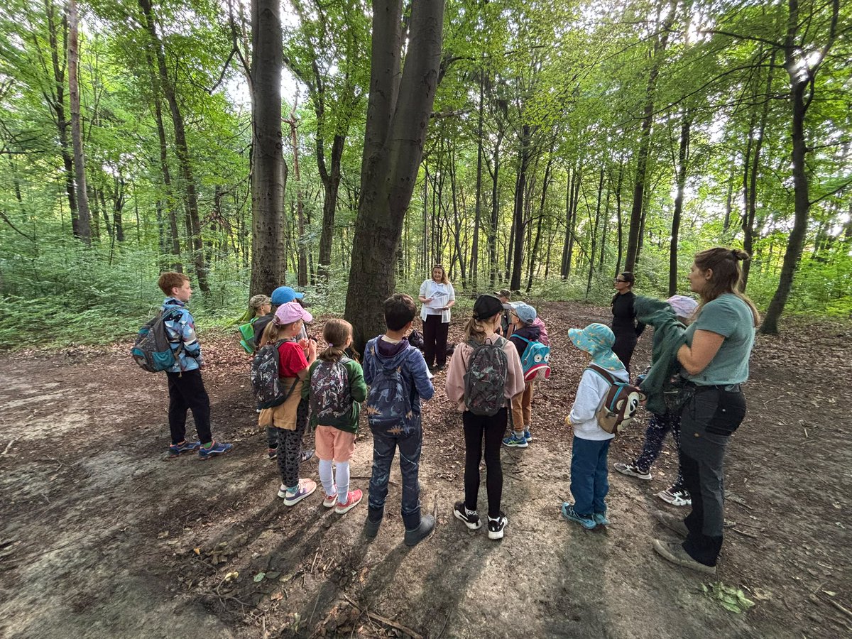 pssebytom's tweet photo. „Dzikie Wędrowanie” – półkolonie przyrodniczo-edukacyjne w Lesie Miechowickim. W ramach kampanii #LetniaAkademiaSanepidu uczestnicy poznali zasady bezpiecznych wakacji i ochrony przed kleszczami. Zajęcia zakończył quiz edukacyjny, a każdy uczestnik otrzymał „Kleszczowankę. https://t.co/UDVa4Iu7mQ