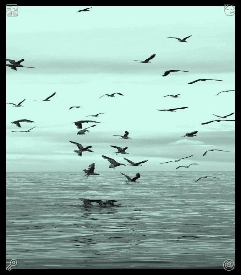 LukeK66842's tweet photo. 🕵Offer words of encouragement to a weary soul. Each morning, speak kindly to your reflection and erase every trace of merciless self-criticism. Embrace your imperfect slip-ups, and move through each moment with a serene, optimistic, and gently courageous spirit. https://t.co/OpO7F74j2z