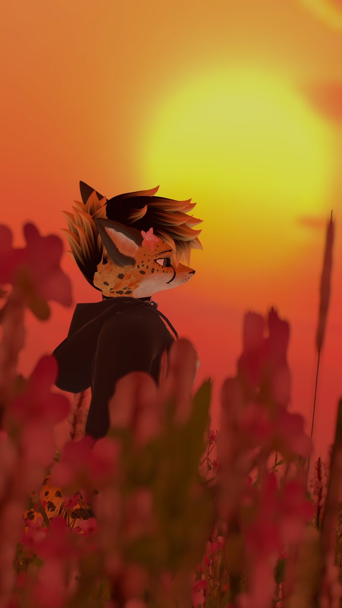 KerryCheeto's tweet photo. Sunsets remind me that endings can be beautiful💛🌅🐾

📸:@SolsticeSol_ https://t.co/5BFFN9nQPe