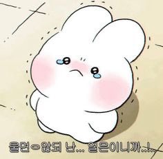 뇽뇽 tweet media