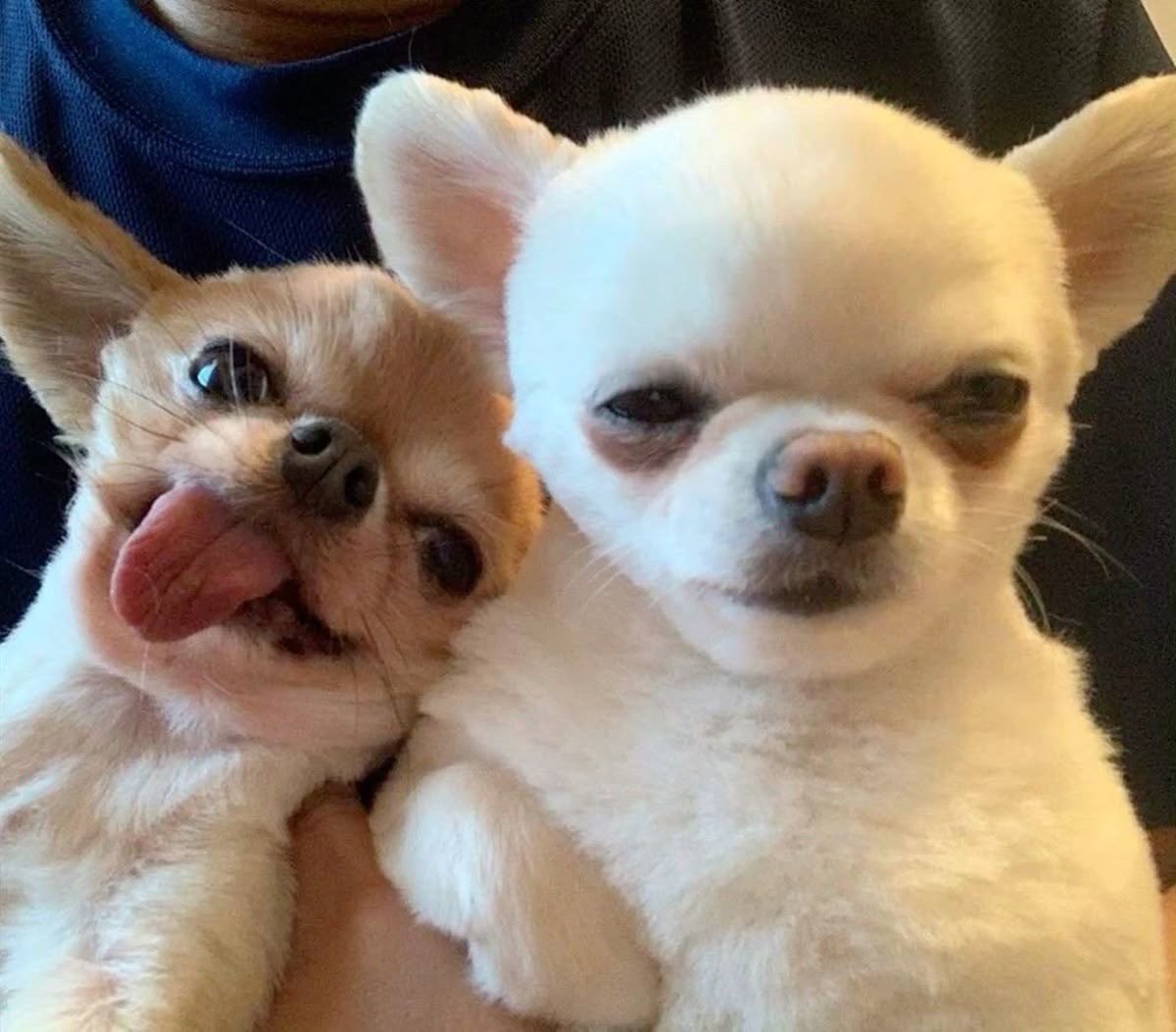 iluv_theewave's tweet photo. 😝😐

THEE WAVE FAN CONNECT 
#เซ็นแจ้งมีธีร์เวฟ https://t.co/mKd5zkQN79