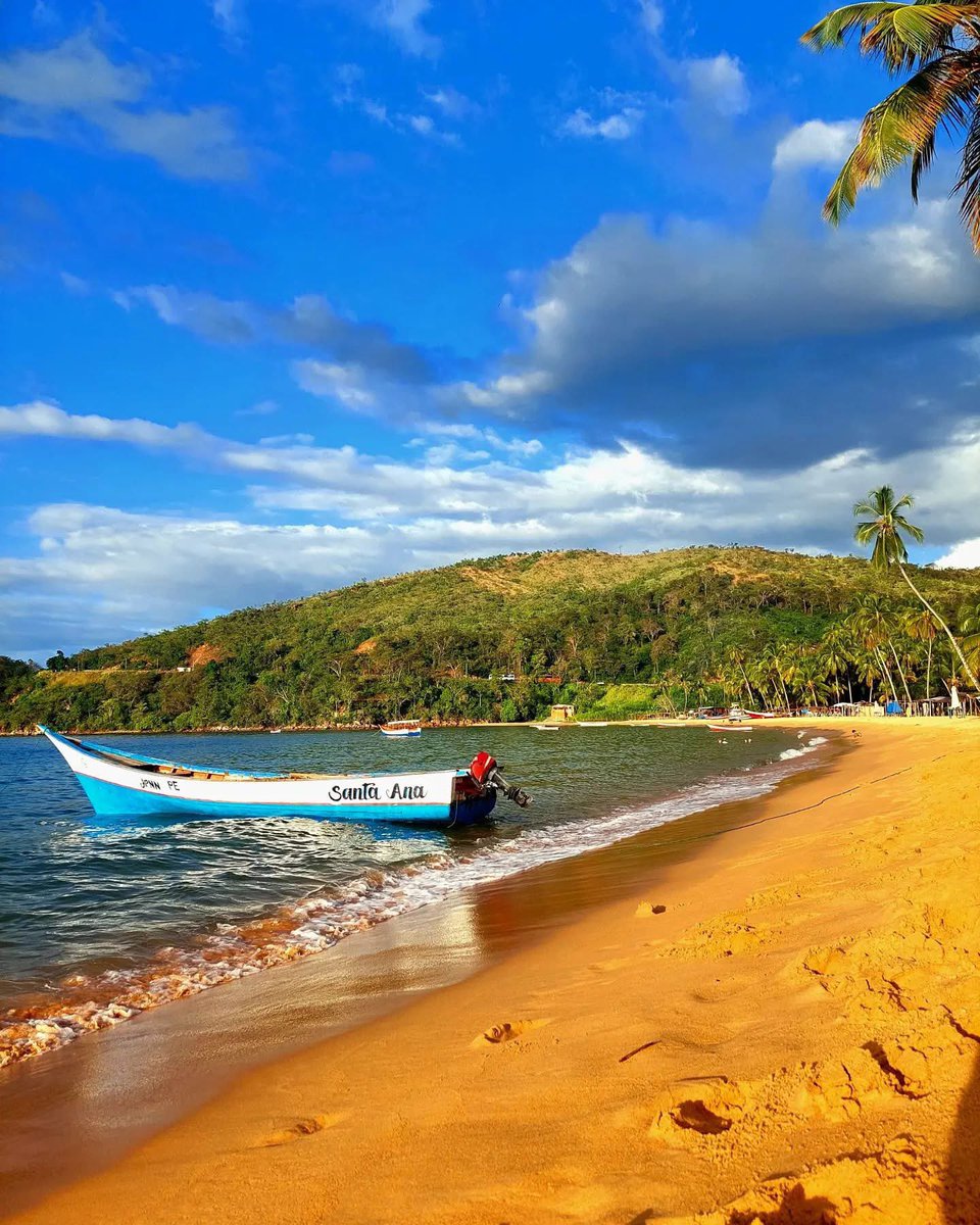GianlucaCoccon1's tweet photo. Espectacular 
PLAYA COLORADA ubicada en la vía de Puerto La Cruz -
Cumaná…Edo Sucre 🇻🇪🇻🇪🇻🇪🇻🇪🇻🇪🇻🇪🇻🇪🇻🇪🇻🇪🇻🇪🇻🇪🇻🇪🇻🇪🇻🇪🇻🇪
📸 @yosoyanah https://t.co/N5mFNx309O