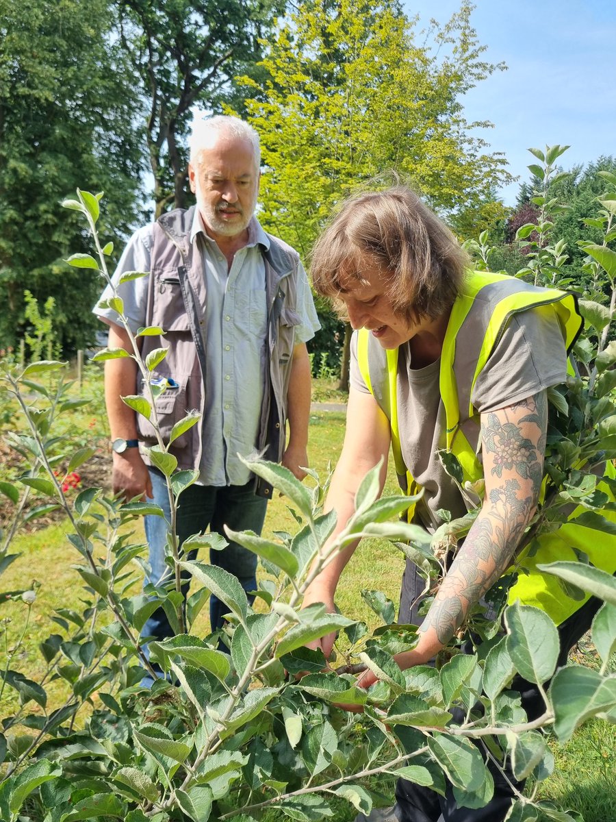 fruitnutvillage's tweet photo. We work through August... across our Villages... #BalsallHeath #Billesley #DruidsHeath #Stirchley
Please do join us... even just to have a look at the trees and gardens, to have a coffee with us or for a chat.
Details below...
https://t.co/1d2Ltdvamd
@TNLUK @WestonFdn https://t.co/h1zWJyxGaY