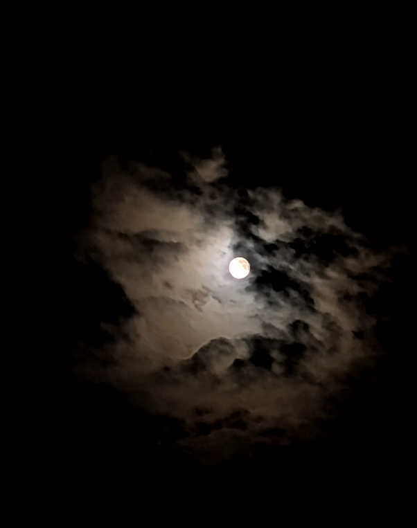 lim62316se's tweet photo. The night view tonight is so beautiful! The moon is hiding in the clouds, appearing and disappearing intermittently.🌕 https://t.co/QXmGFQXZdZ