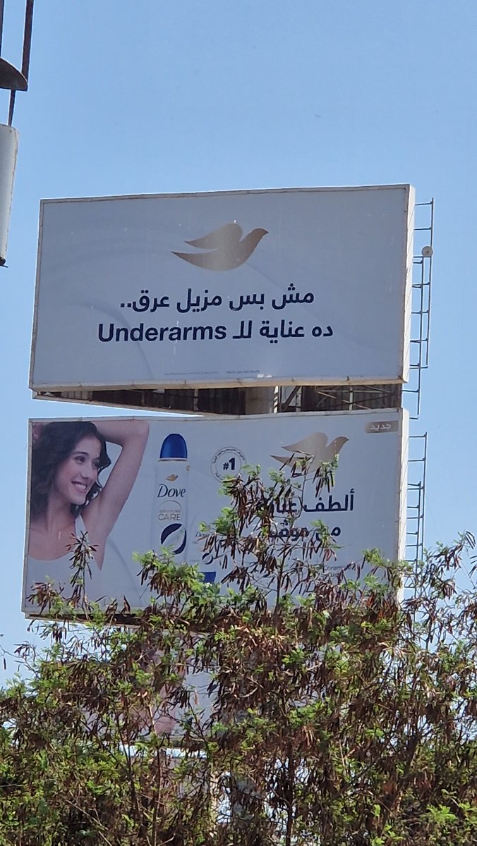 HerfaMusic's tweet photo. متقول باطات عادي https://t.co/1WeLCs26bq