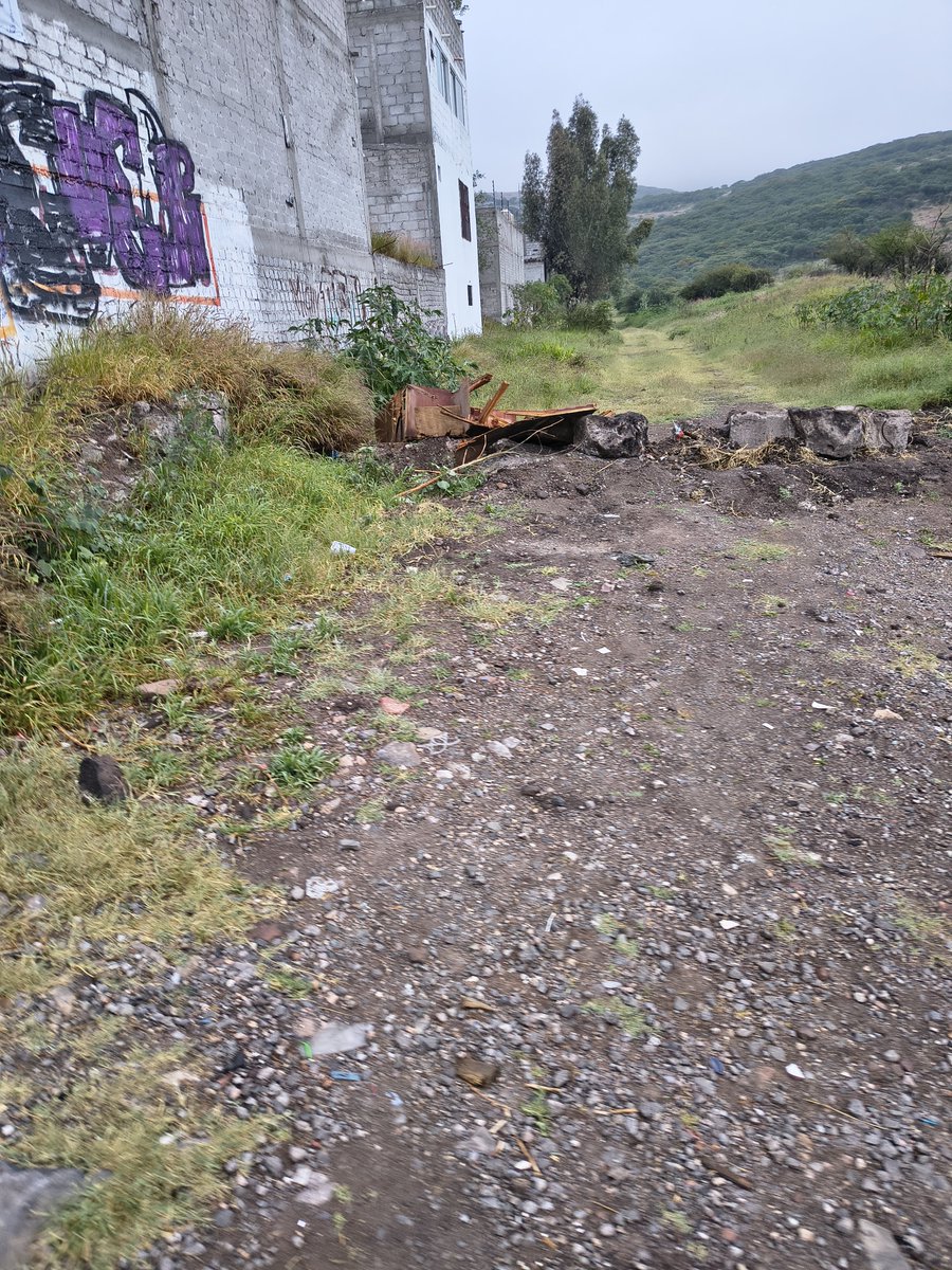 miguelitoplaza's tweet photo. @JosueGro @JosueGro ha de ser otro @MpioCorregidora porque acá falta recolección, poda, obra pública...@viriNR @makugo ... Ni hablar de la falta de luminarias, seguridad pública faltante mucho para ir #APasoFirme https://t.co/wnEm8JHjpl