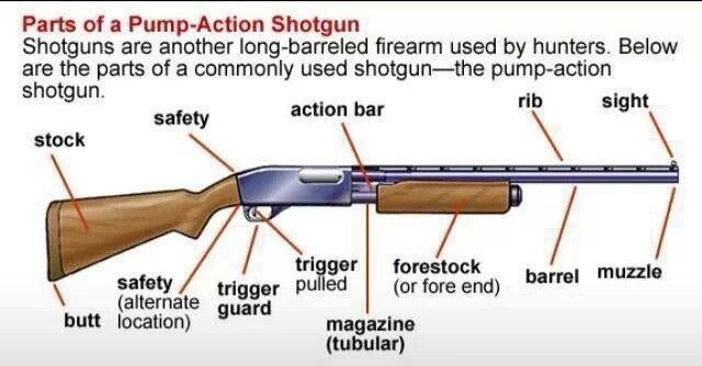 gunfanatics1's tweet photo. https://t.co/Lsuo7DYQYK