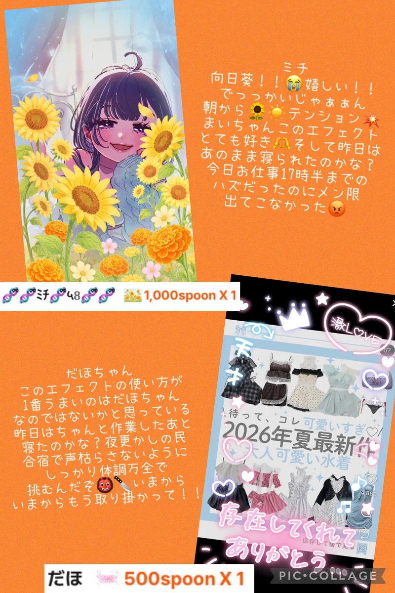 マシュマロページ 🧬ྀི人文学徒まいちゃん on X: 