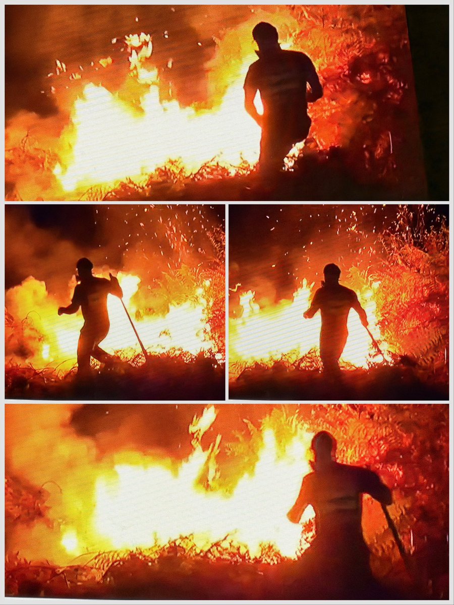 AlexandreJardin's tweet photo. Cette image devrait être accrochée dans tous les bureaux où l’on décide du destin des autres.
Un agriculteur.
Une terre.
Un combat - pugnace.
Il ne défend pas seulement ses hectares, son exploitation, sa maison, sa commune.
Ou sa famille.
Il défend une part de lui-même.
Face aux décisions prises loin du réel, il reste là, ne recule plus : debout, enraciné, courageux.
Tant qu’il y aura des hommes libres comme lui pour se battre, la France ne pliera pas.
Un bureaucrate juriste peut-il le comprendre ?