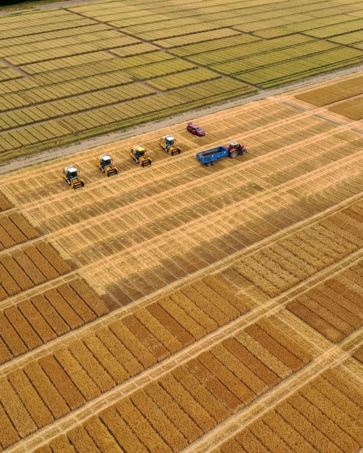 Bayer4CropsUK's tweet photo. A bird’s-eye view of harvest at our trial site in Fife last week. 🚁
Thank you to @ScotAgCoOp for helping make these trials a success. We're looking forward to sharing results from our trial sites around the country soon! 🌾
#Harvest2026 #Agronomy #CropScience https://t.co/aBjG7fimCq