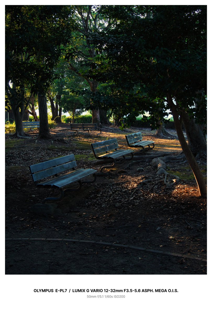 muchollica's tweet photo. #EPL7
#penlite
#OLYMPUS
#exifframe
#マイクロフォーサーズ
#mft
#HFS12032
OLYMPUS E-PL7 / LUMIX G VARIO 12-32mm F3.5-5.6 ASPH. MEGA O.I.S. https://t.co/IX3ue13Rhj