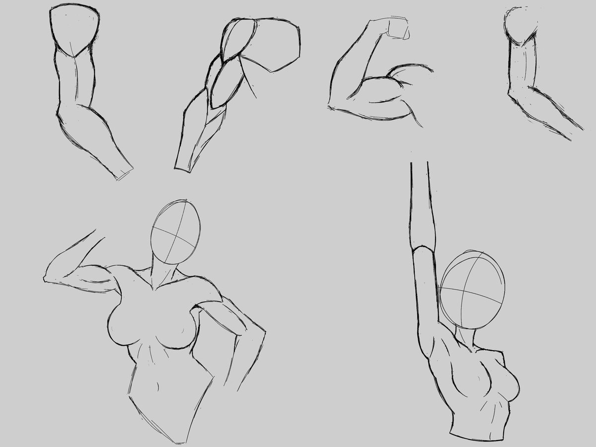 OneTiltedArtist's tweet photo. Arm study https://t.co/cNa0JIEimQ
