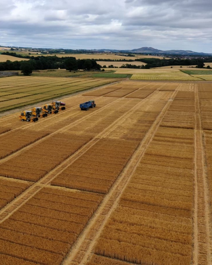 Bayer4CropsUK's tweet photo. A bird’s-eye view of harvest at our trial site in Fife last week. 🚁
Thank you to @ScotAgCoOp for helping make these trials a success. We're looking forward to sharing results from our trial sites around the country soon! 🌾
#Harvest2026 #Agronomy #CropScience https://t.co/aBjG7fimCq
