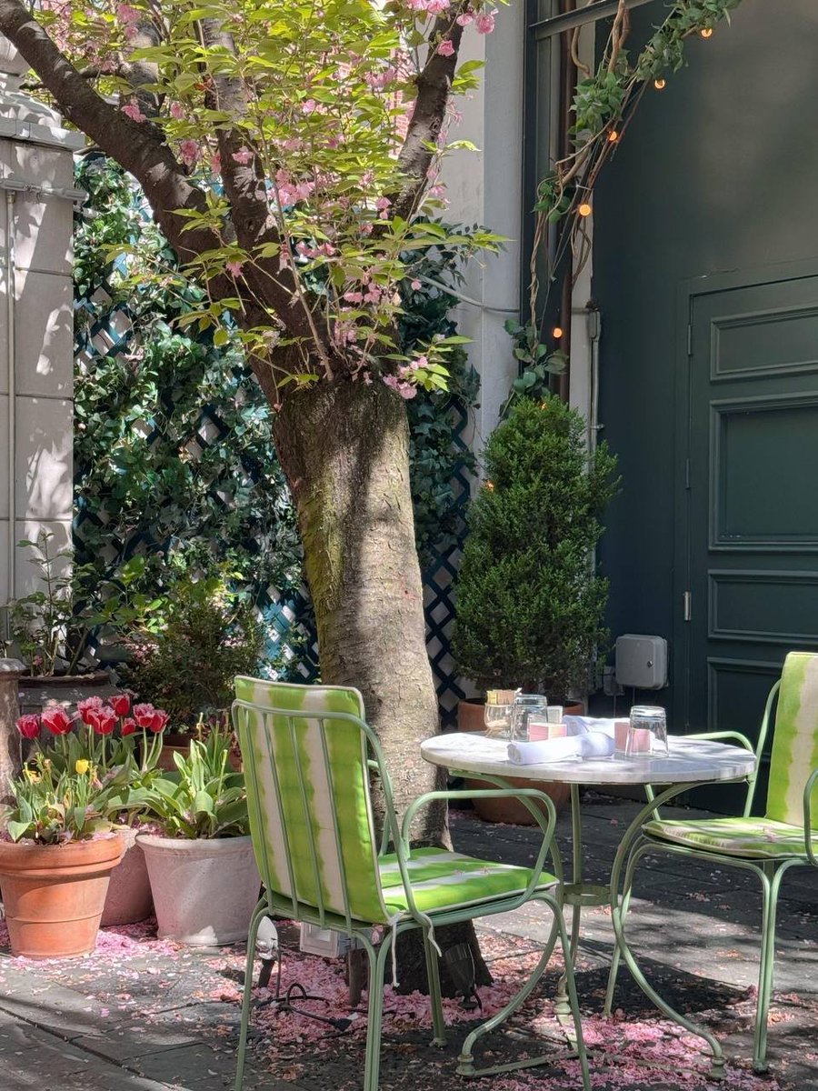 LIsabella_o's tweet photo. Nourished by coffee and sunshine https://t.co/mnKViHqPV8
