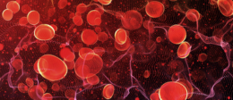 OncologyCentral's tweet photo. A Phase II trial has demonstrated the safety and effectiveness of the oral drug avatrombopag in managing chemotherapy-induced thrombocytopenia (CIT). https://t.co/PfH6rhZjqq https://t.co/ZreOaEuggs